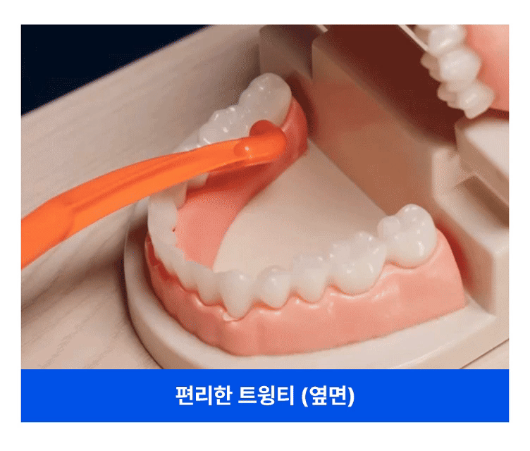 9-5. 양치법_2.gif